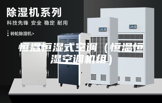 恒溫恒濕式空調（恒溫恒濕空調機組）