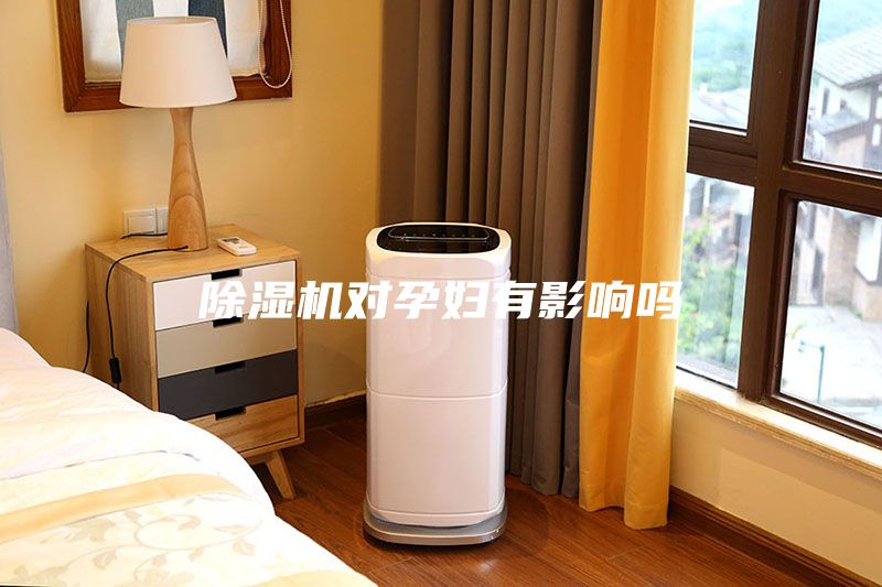 除濕機對孕婦有影響嗎