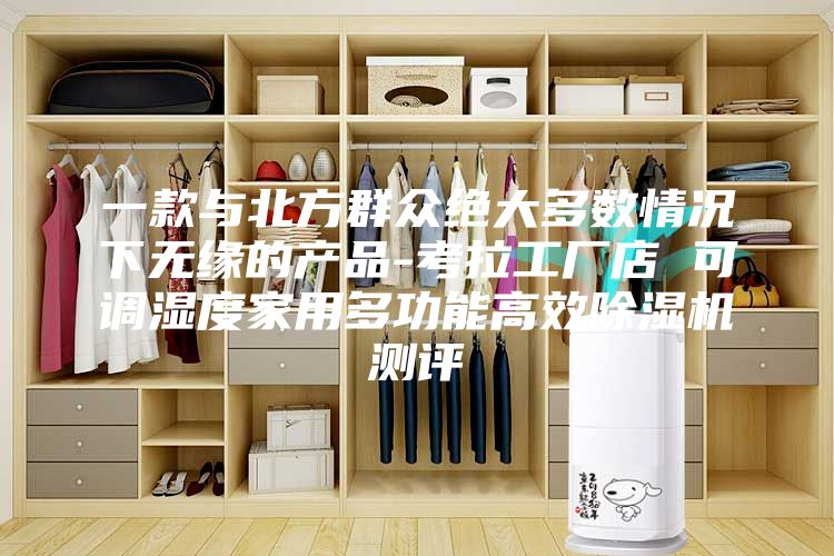 一款與北方群眾絕大多數(shù)情況下無緣的產品-考拉工廠店 可調濕度家用多功能高效除濕機測評