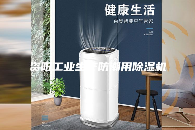 資陽工業生產防潮用除濕機