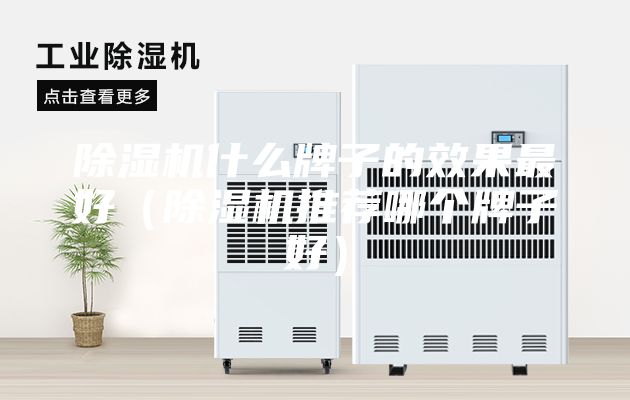 除濕機(jī)什么牌子的效果最好（除濕機(jī)推薦哪個牌子好）