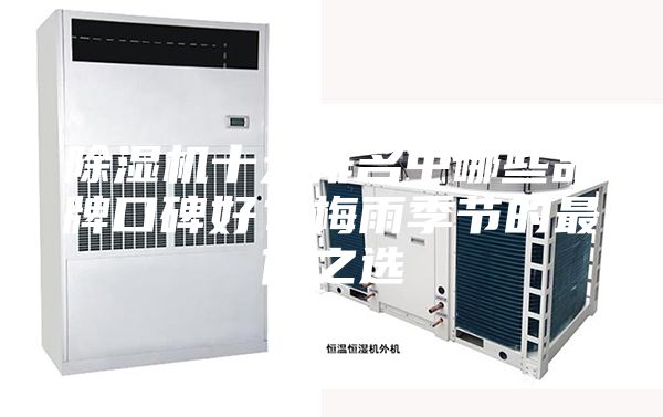 除濕機十大排名中哪些品牌口碑好？梅雨季節的最佳之選