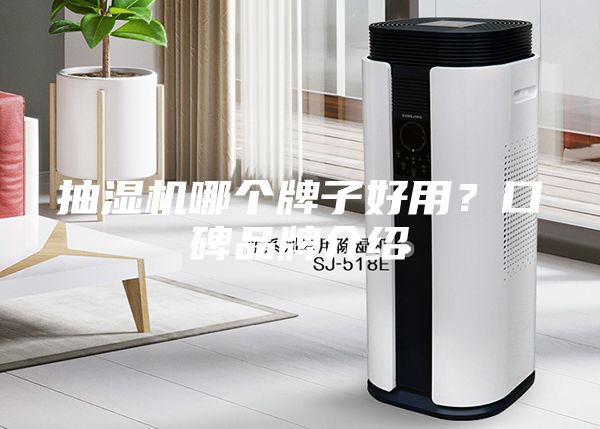 抽濕機哪個牌子好用？口碑品牌介紹