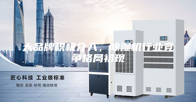 大品牌積極介入，除濕機行業競爭格局初現