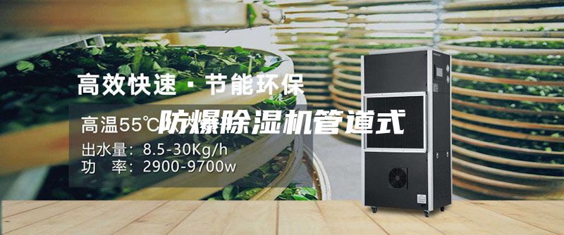 防爆除濕機管道式