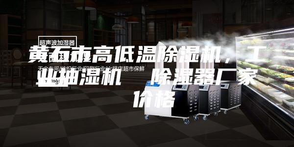 黃石市高低溫除濕機，工業(yè)抽濕機  除濕器廠家 價格