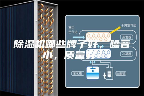 除濕機(jī)哪些牌子好，噪音小，質(zhì)量好？