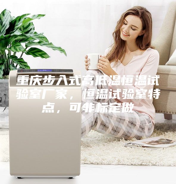 重慶步入式高低溫恒溫試驗室廠家，恒溫試驗室特點，可非標定做