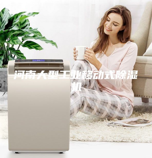 河南大型工業(yè)移動式除濕機