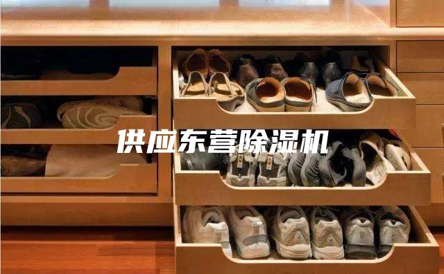 供應(yīng)東營除濕機