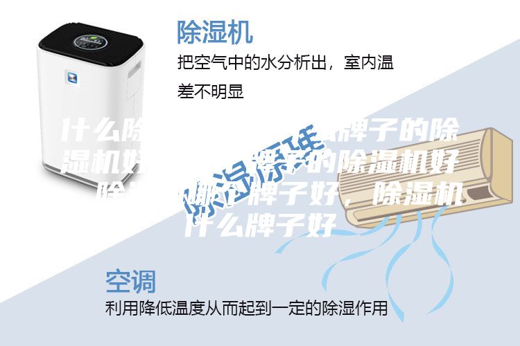 什么除濕機好，什么牌子的除濕機好，哪個牌子的除濕機好，除濕機哪個牌子好，除濕機什么牌子好