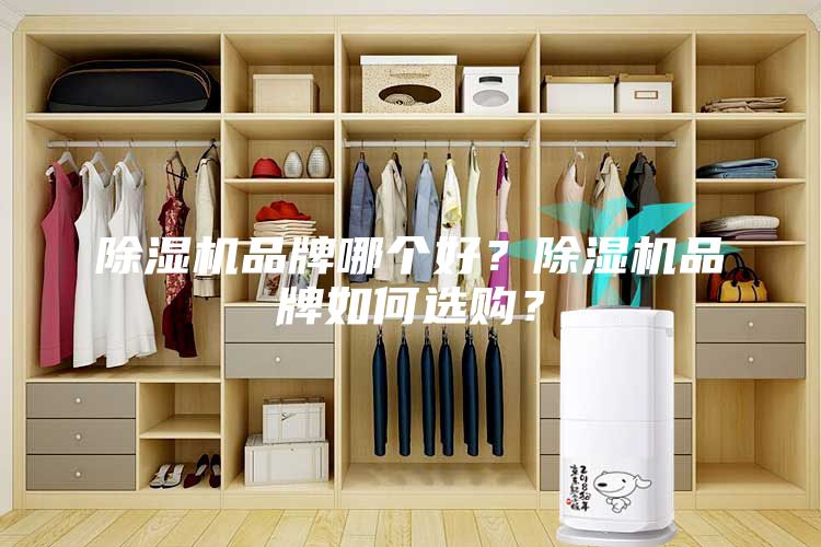 除濕機品牌哪個好？除濕機品牌如何選購？