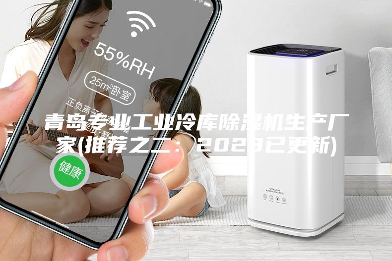 青島專(zhuān)業(yè)工業(yè)冷庫(kù)除濕機(jī)生產(chǎn)廠家(推薦之二：2023已更新)