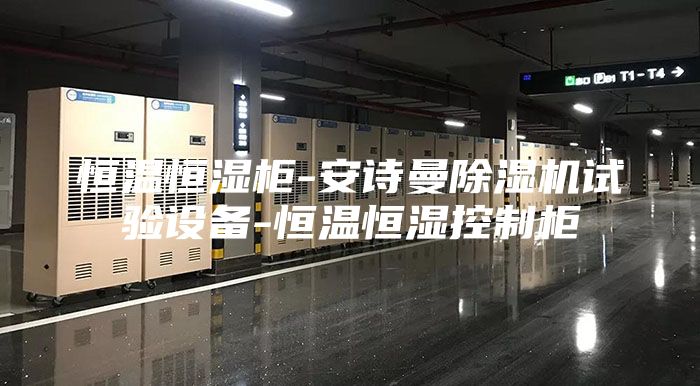 恒溫恒濕柜-安詩曼除濕機(jī)試驗設(shè)備-恒溫恒濕控制柜