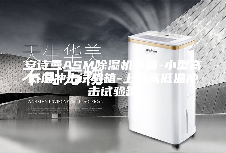 安詩曼ASM除濕機(jī)設(shè)備-小型高低溫沖擊試驗(yàn)箱-上海高低溫沖擊試驗(yàn)箱