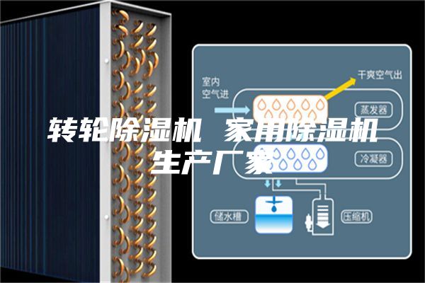 轉(zhuǎn)輪除濕機(jī) 家用除濕機(jī)生產(chǎn)廠家