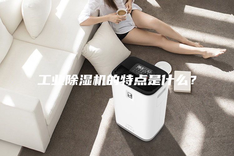 工業(yè)除濕機(jī)的特點(diǎn)是什么？