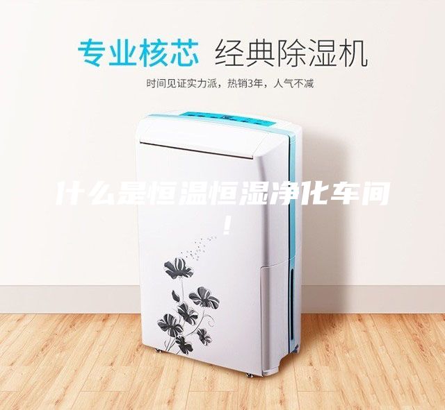 什么是恒溫恒濕凈化車間！