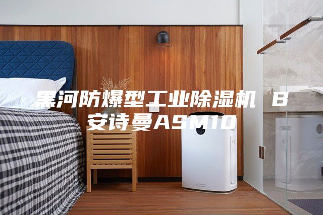 黑河防爆型工業(yè)除濕機(jī) B安詩(shī)曼ASM10