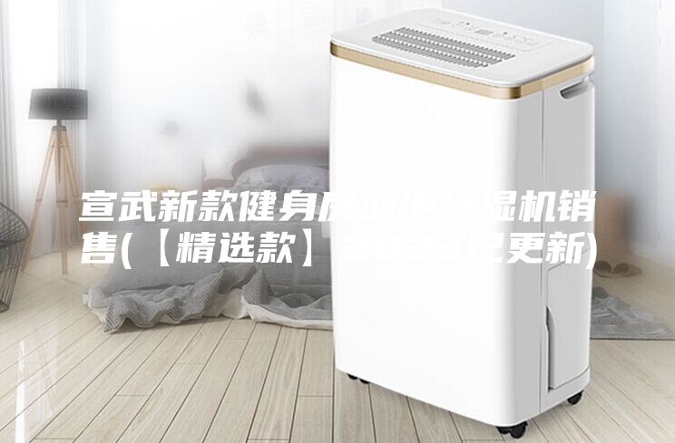 宣武新款健身房泳池除濕機銷售(【精選款】2023已更新)