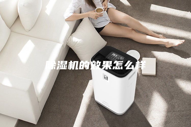 除濕機(jī)的效果怎么樣
