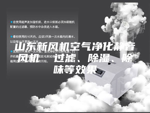 山東新風機空氣凈化靜音風機  過濾、除濕、除味等效果