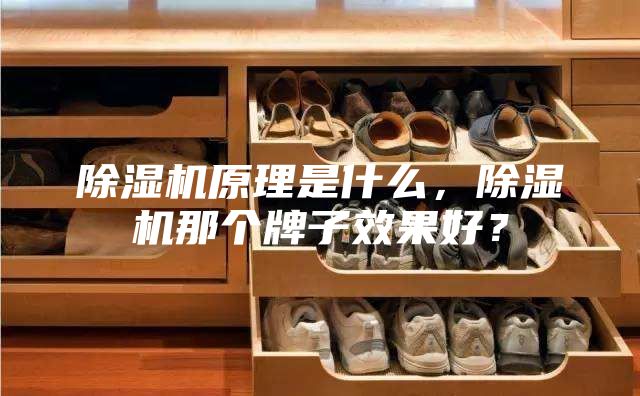除濕機原理是什么，除濕機那個牌子效果好？