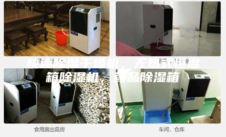 快速除濕干燥機(jī)，無熱式恒溫箱除濕機(jī)，藥品除濕箱