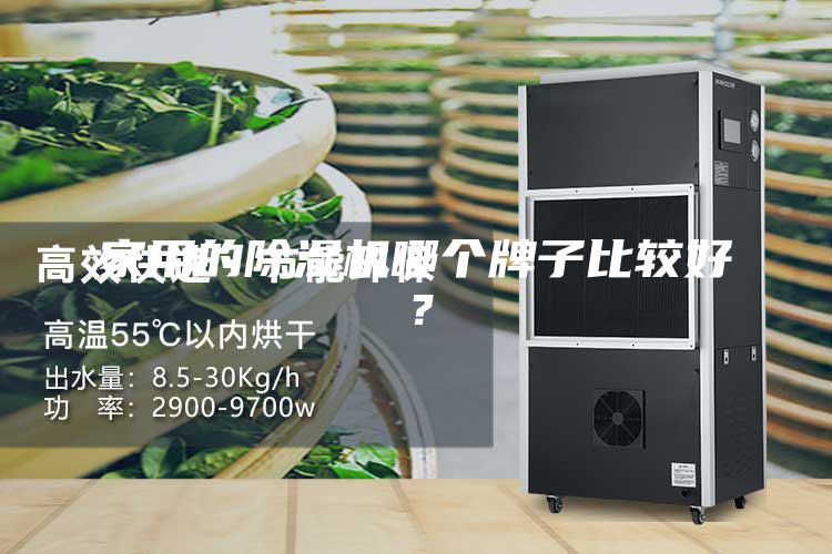 家用的除濕機哪個牌子比較好？