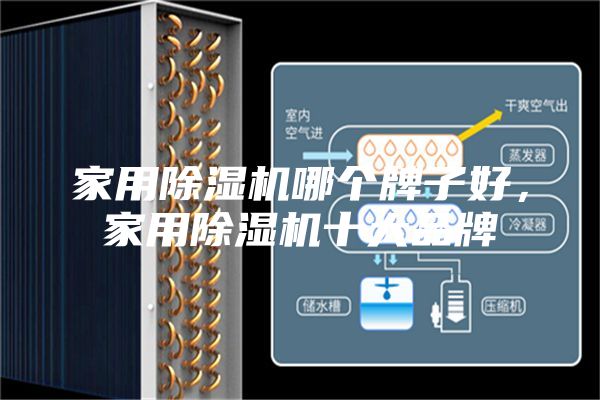 家用除濕機(jī)哪個牌子好，家用除濕機(jī)十大品牌