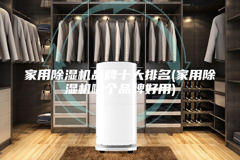 家用除濕機品牌十大排名(家用除濕機哪個品牌好用)