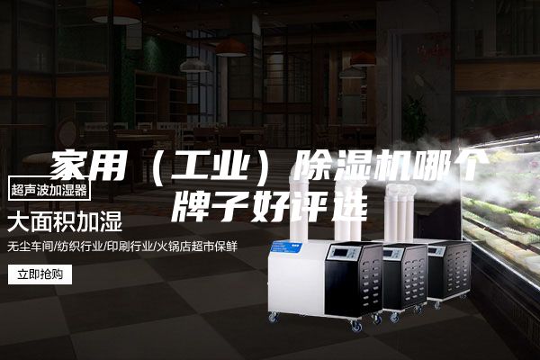 家用（工業(yè)）除濕機哪個牌子好評選