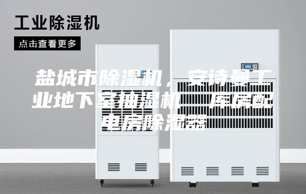 鹽城市除濕機，安詩曼工業地下室抽濕機  庫房配電房除濕器
