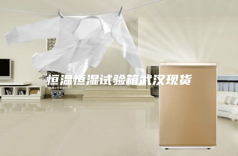 恒溫恒濕試驗箱武漢現(xiàn)貨