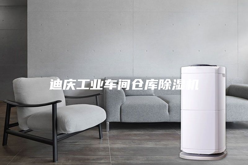 迪慶工業(yè)車間倉庫除濕機