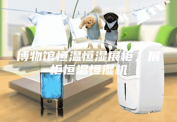 博物館恒溫恒濕展柜，展柜恒溫恒濕機