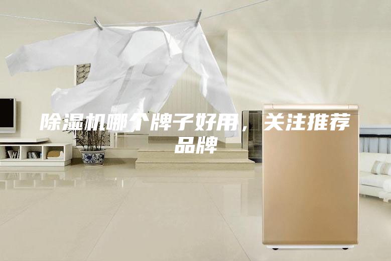 除濕機哪個牌子好用，關注推薦品牌
