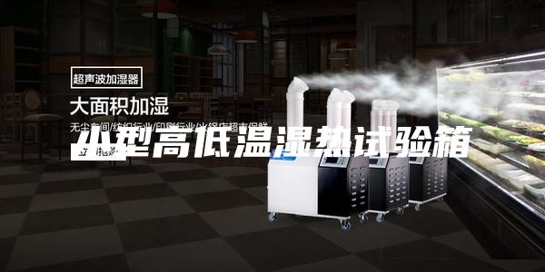 小型高低溫濕熱試驗(yàn)箱