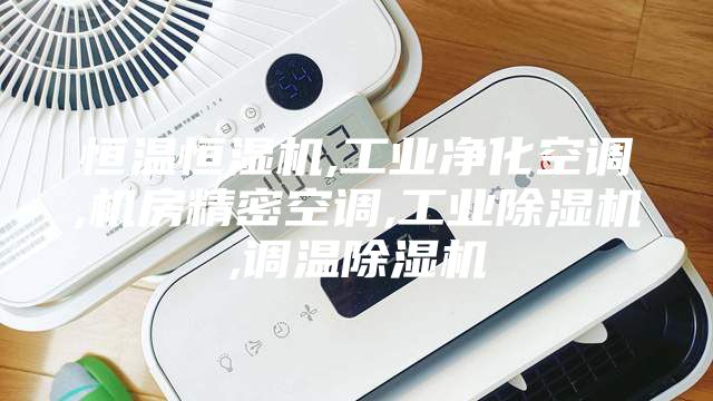 恒溫恒濕機(jī),工業(yè)凈化空調(diào),機(jī)房精密空調(diào),工業(yè)除濕機(jī),調(diào)溫除濕機(jī)