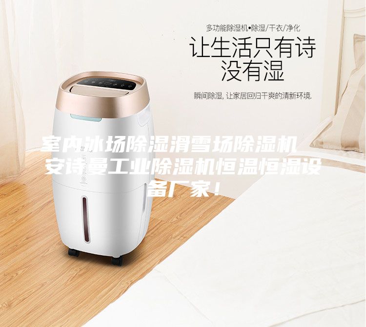 室內(nèi)冰場(chǎng)除濕滑雪場(chǎng)除濕機(jī)  安詩(shī)曼工業(yè)除濕機(jī)恒溫恒濕設(shè)備廠家！