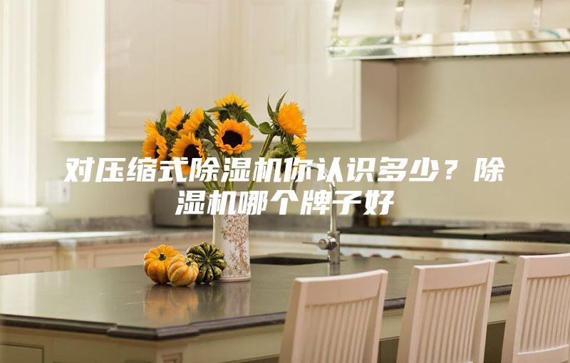 對壓縮式除濕機你認識多少？除濕機哪個牌子好