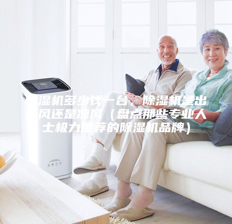 除濕機多少錢一臺，除濕機是出熱風還是涼風（盤點那些專業(yè)人士極力推薦的除濕機品牌）