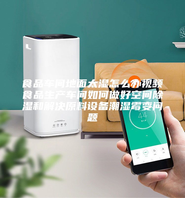 食品車間地面太濕怎么辦視頻食品生產(chǎn)車間如何做好空間除濕和解決原料設(shè)備潮濕霉變問(wèn)題
