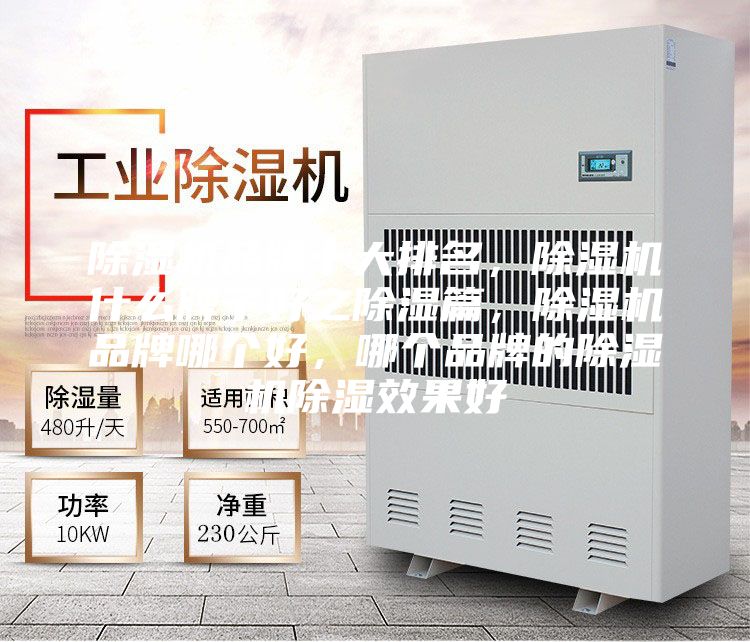 除濕機(jī)品牌十大排名，除濕機(jī)什么牌子好之除濕篇，除濕機(jī)品牌哪個好，哪個品牌的除濕機(jī)除濕效果好