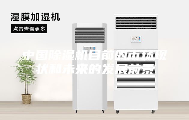 中國除濕機目前的市場現狀和未來的發展前景
