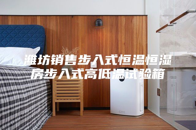 濰坊銷售步入式恒溫恒濕房步入式高低溫試驗箱