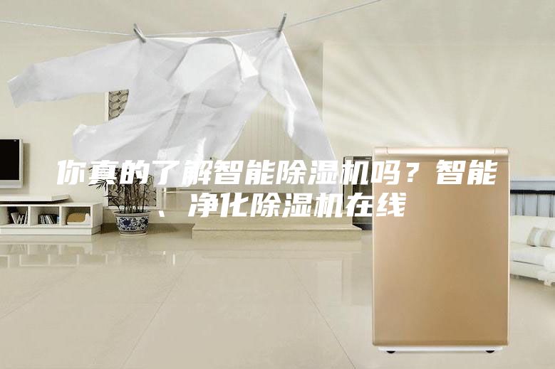 你真的了解智能除濕機嗎？智能、凈化除濕機在線