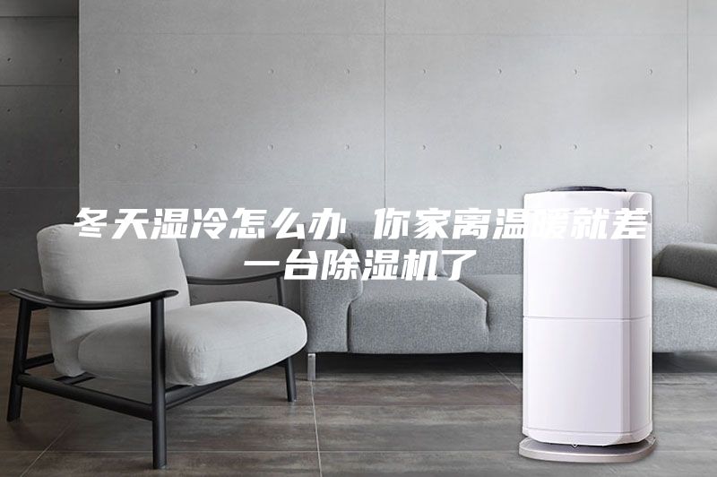 冬天濕冷怎么辦 你家離溫暖就差一臺除濕機了