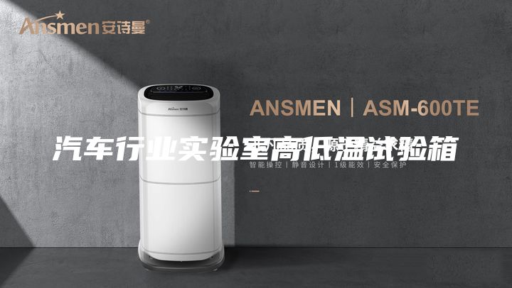 汽車行業(yè)實(shí)驗(yàn)室高低溫試驗(yàn)箱