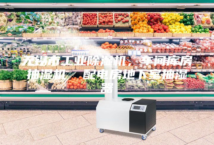 無錫市工業(yè)除濕機，車間庫房抽濕機  配電房地下室抽濕器